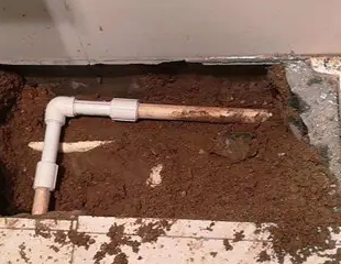 日土测漏水哪家好