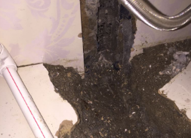 日土卫生间测漏水哪家好