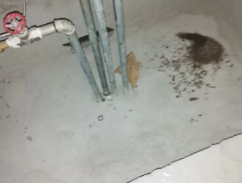 日土卫生间测漏水价格明细