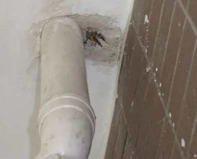 日土漏水检测哪家好